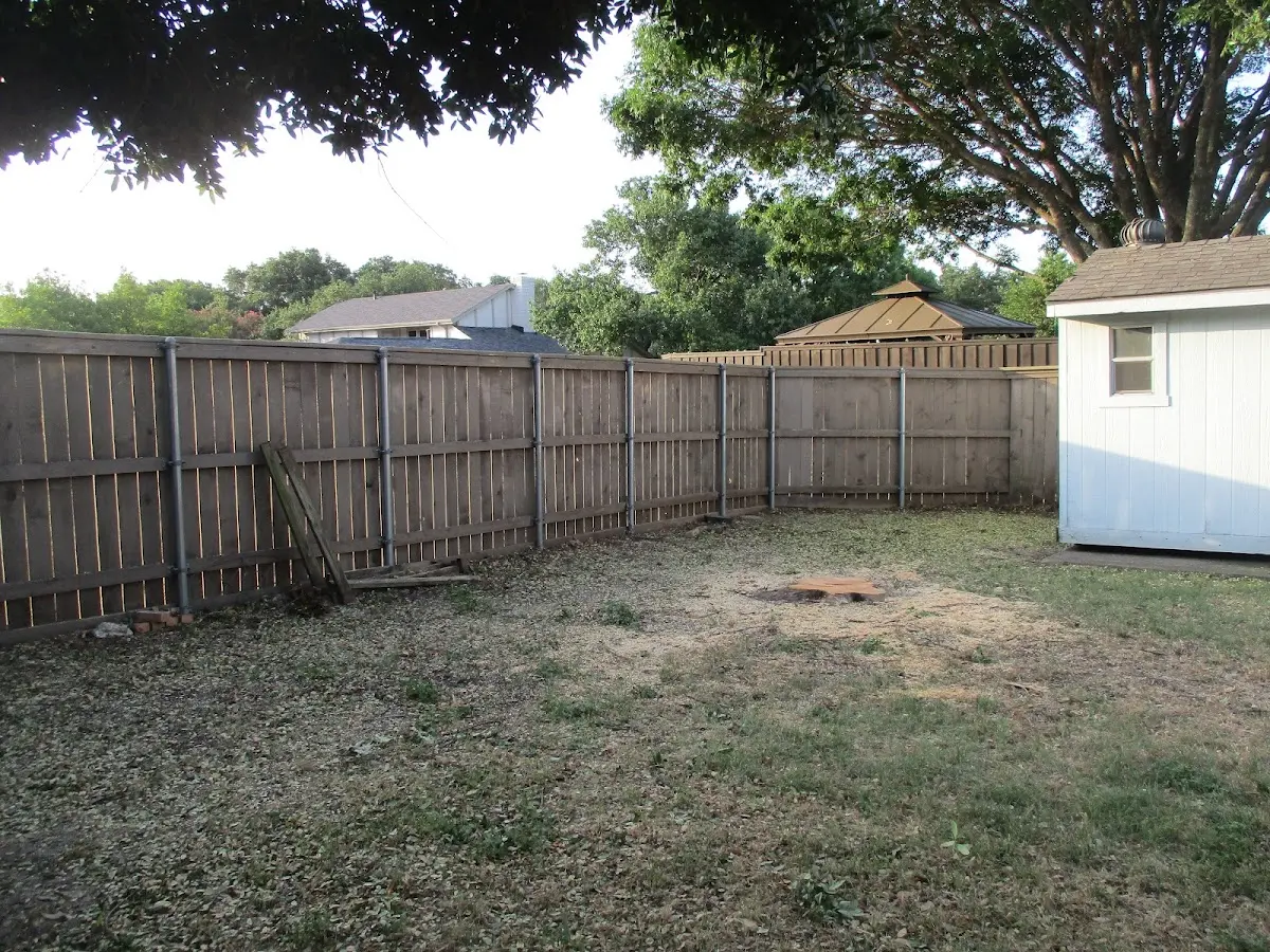 Cleared yard after professional tree removal in New Franken
